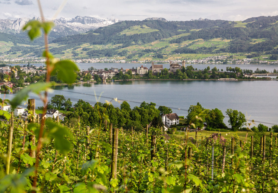 Oberer-Zürichsee
