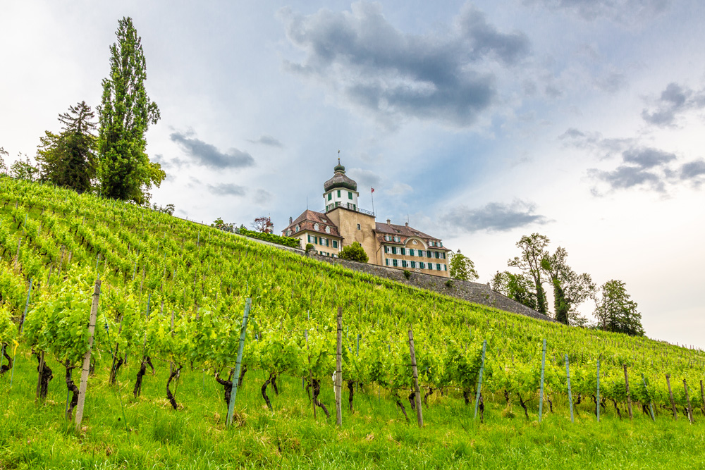 Rheintal-Schloss-Heerbrugg