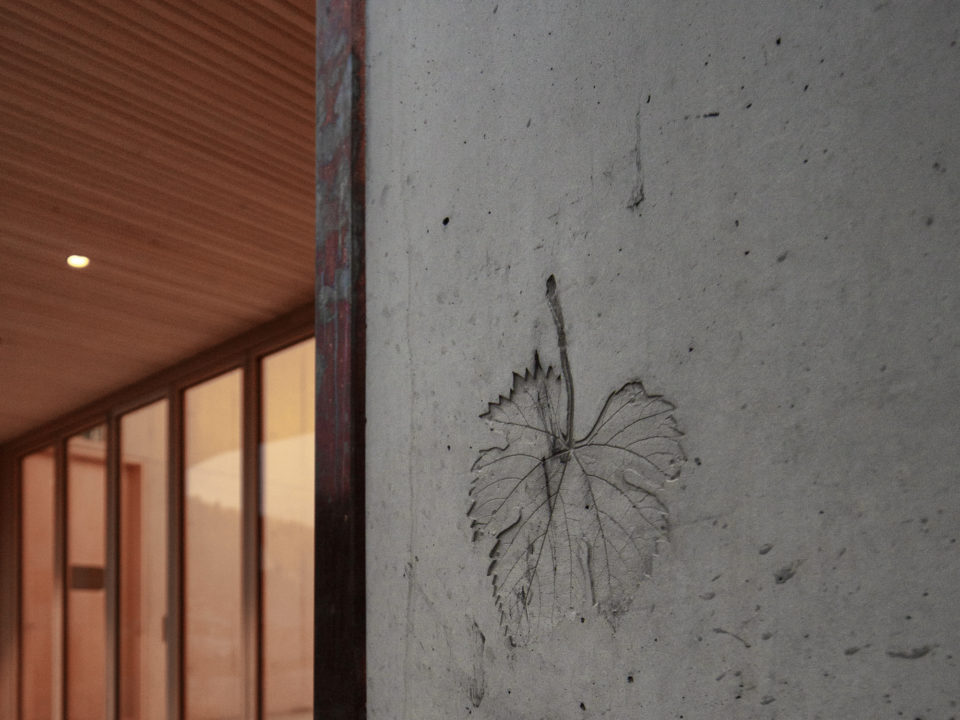 Haus des Weins Aussenansicht Blatt