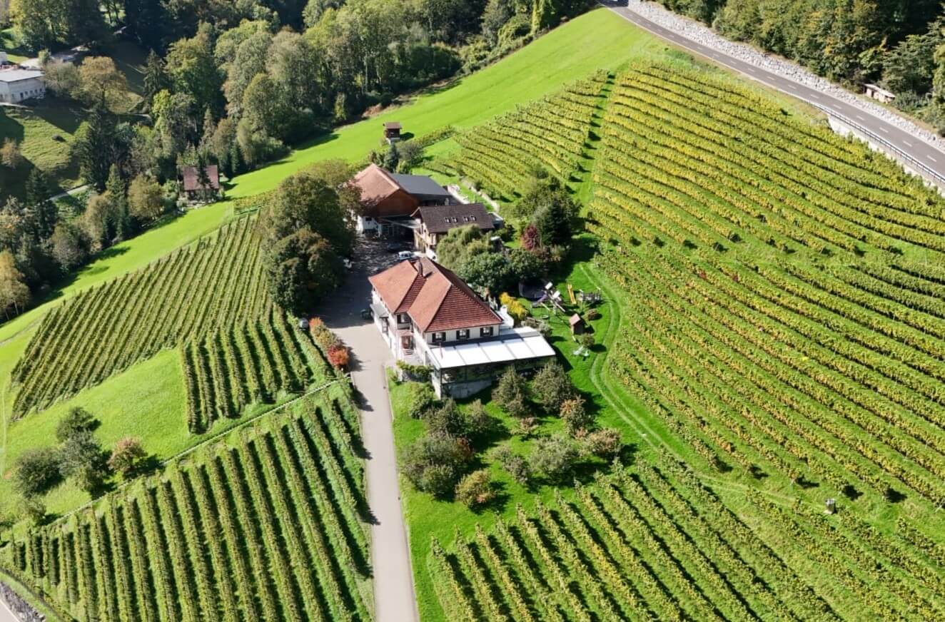 Winzer des Monats: Weingut Maienhalde