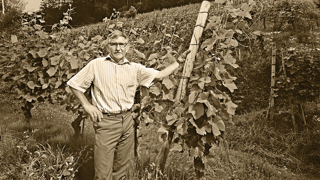 Weingut am Huberberg