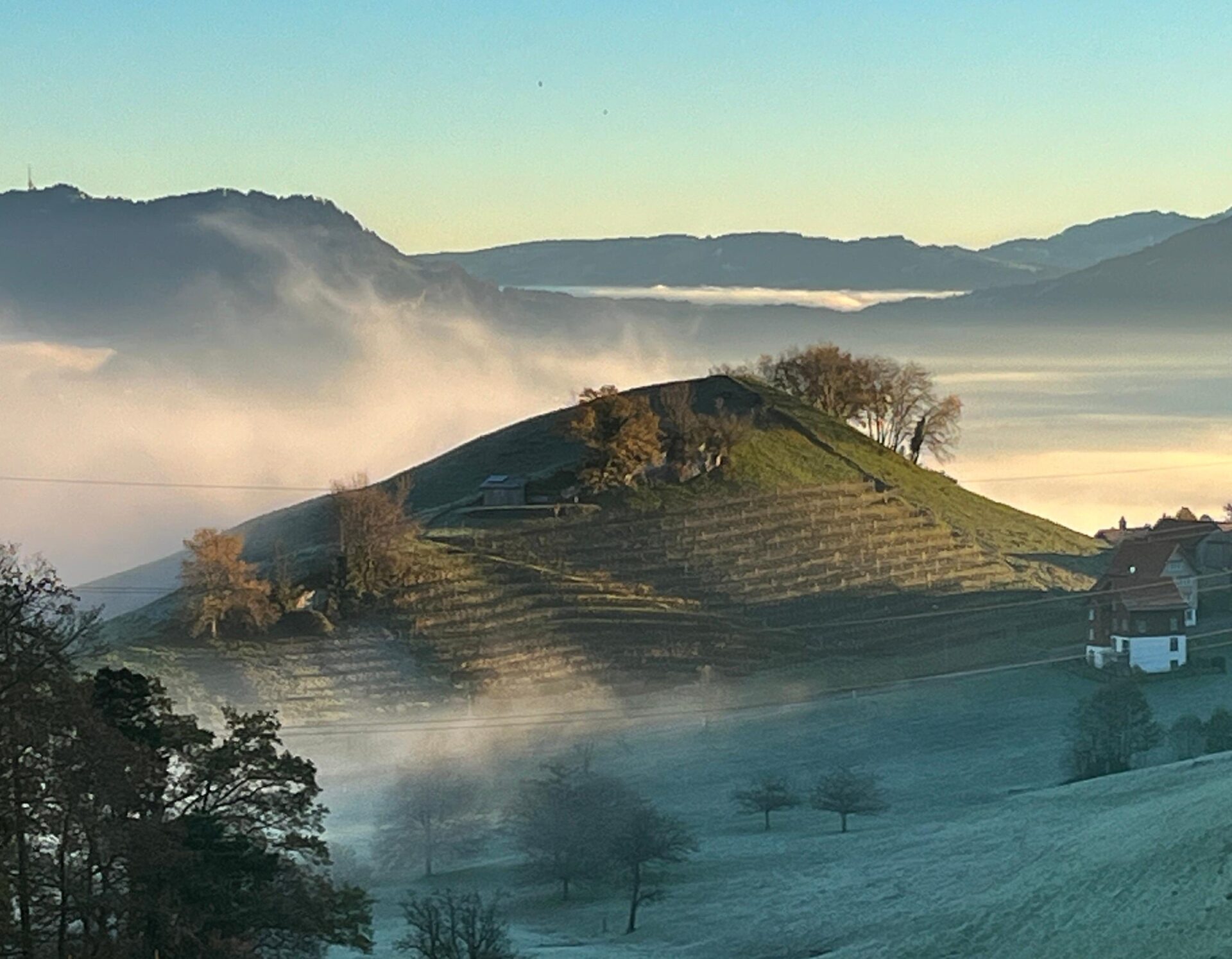 Winzer des Monats April: Rebberg am Gupfen Walzenhausen