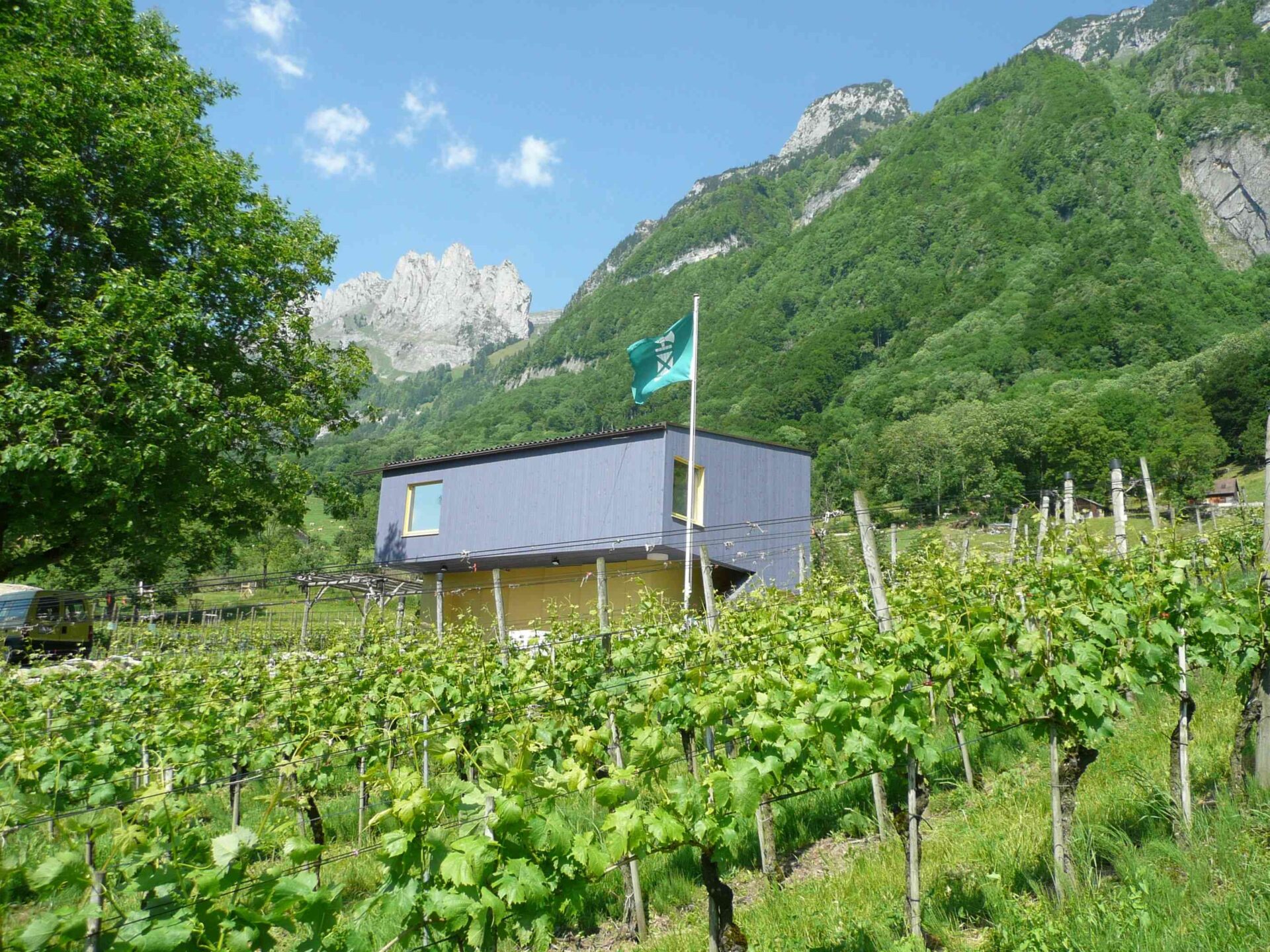 Staatswingert Frümsen