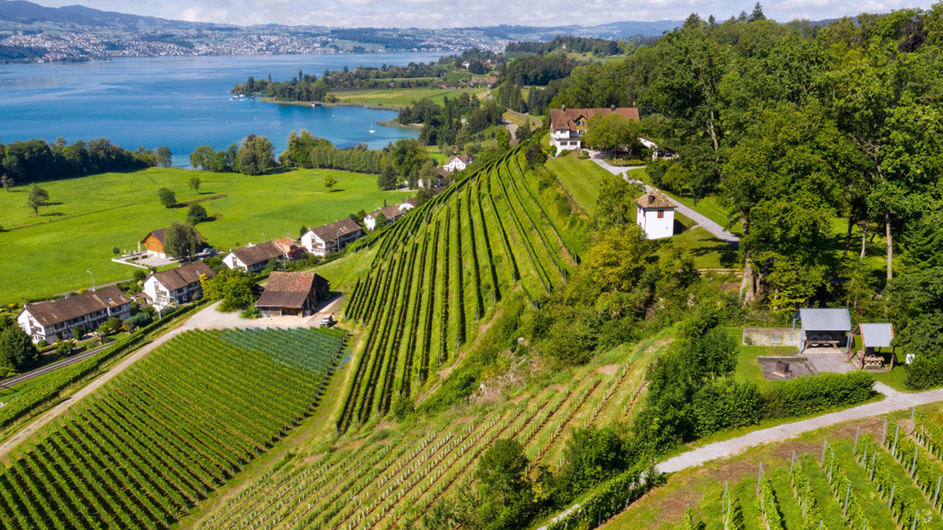 Weingut Höcklistein